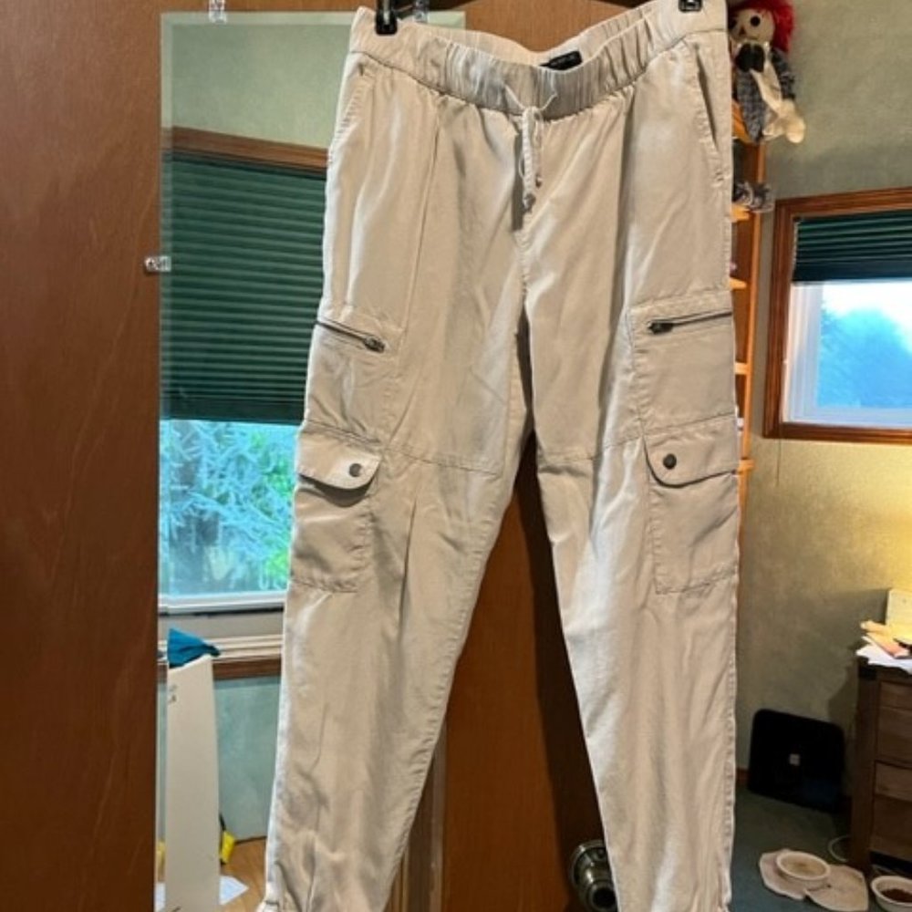 Banana Republic Lyocell Joggers